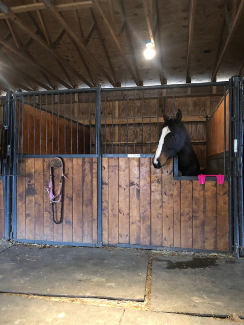 Visit Taipen’s Creek Equestrian Center