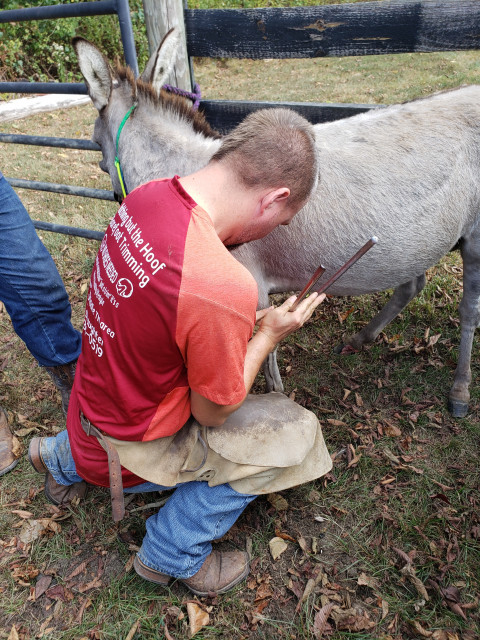 Visit Nothing but the Hoof Barefoot Trimming