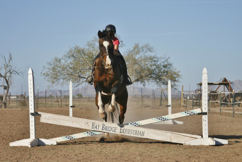 Visit Bay Bridge Equestrian