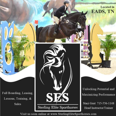 Visit Sterling Elite Sporthorses