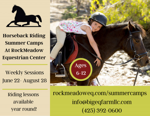 Visit RockMeadow Equestrian Center Summer Camps