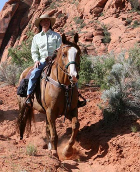 Visit Snow Canyon Trail Rides