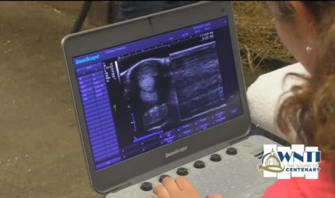 Visit Equine Science Summer Day Camp