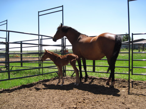 Visit Black Kettle Ranch