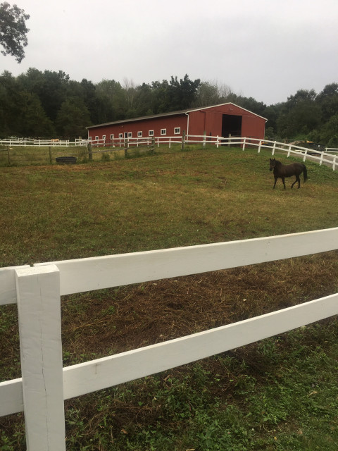 Visit Equestrian Hill Farm