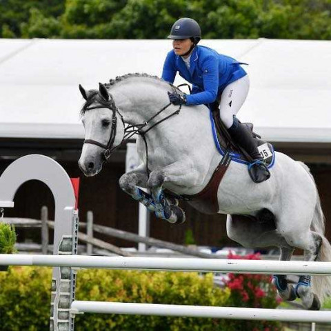 Visit Outstanding Quality showjumper/Eventer
