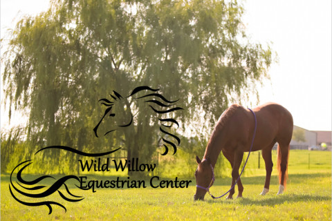 Visit Wild Willow Equestrian Center