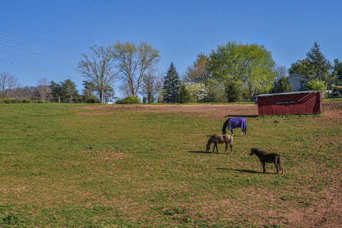 Horse Farms For Sale Or Lease In Boone North Carolina Watauga County