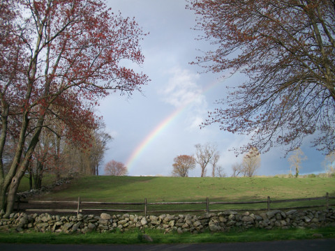 Visit Banks South Farm