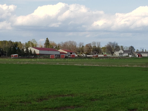 Visit Wenzel Country Stable