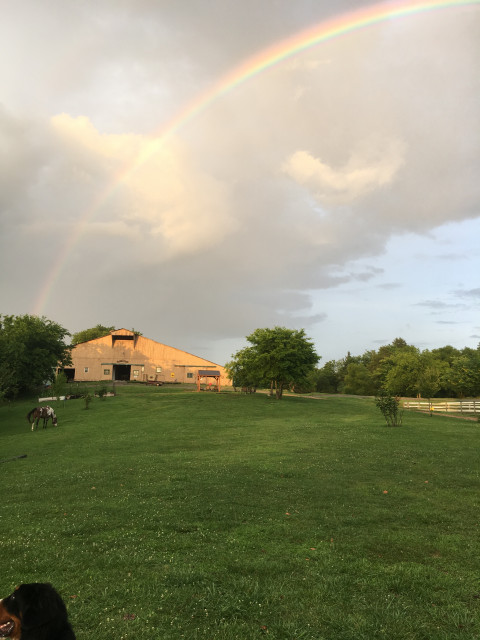 Visit Lazy Day Horse Farm