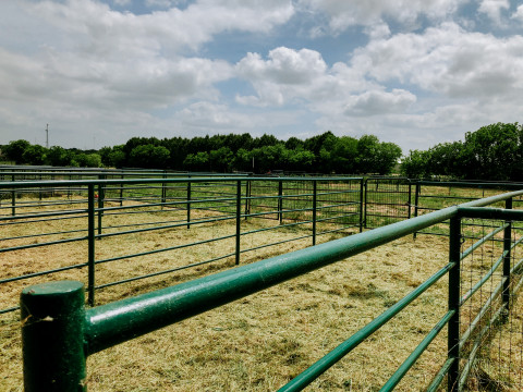 Visit Angelheaded Ranch