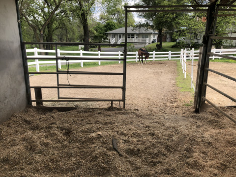 Visit Royal Oak Farm Equestrian Center