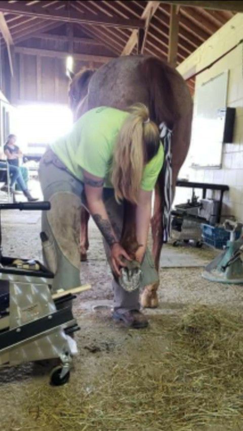 Visit Central Indiana Farrier Service ( Logan Johnston)