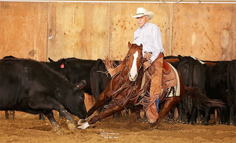 Visit Cutting Horse Training With O.K. (Kim) Estes at LOC Legacy Ranch