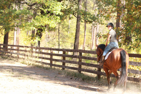 Visit Avery Meadows Horse Ranch