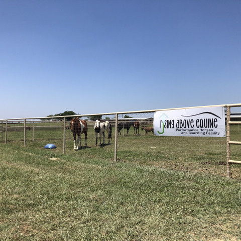 Visit Rising Above Equine- Performance Horses & Boarding Facility