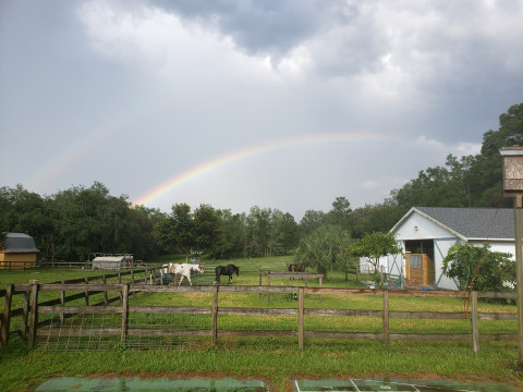 Visit Lucky Star Stable