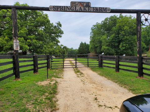 Visit Pasture and stall space avail at Springlake Farm