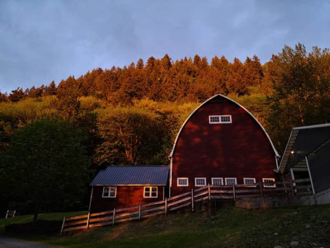 Visit Cherry Creek Farm