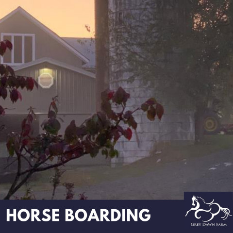 Visit Dressage Training Board at our 52 Acre Farm with Extensive Trails