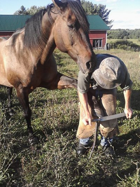 Visit Jack Griffes - Certified Farrier since 1984