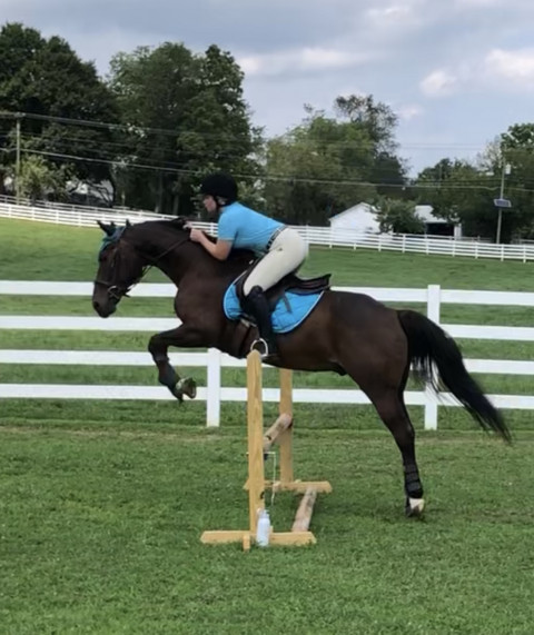 Visit Riding Lessons At Westampton Farm