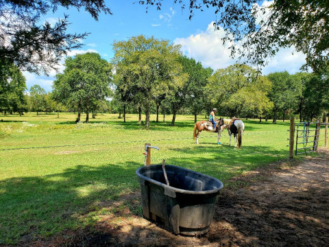 Visit Forever Faithful Western Riding Center