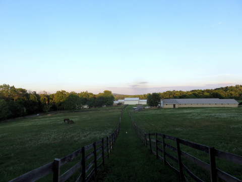Visit Surreywood Farms