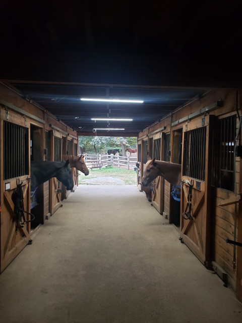 Visit Horse Stalls for Lease - BARK Meadow Stables