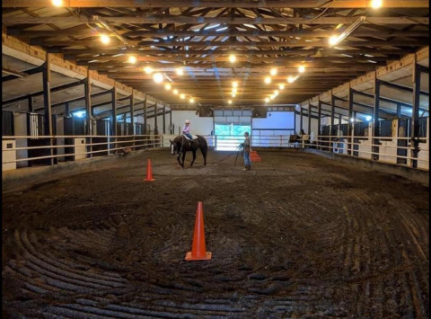 Visit BMB Horsemanship