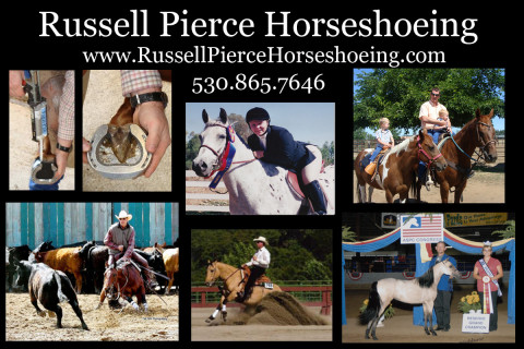 Visit Russell Pierce