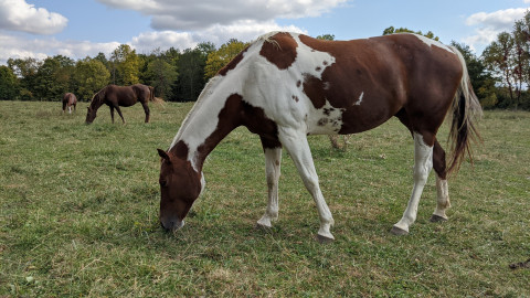 Visit MKM Family Farms