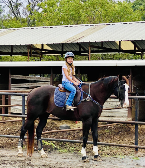 Visit Horseback Riding Lessons- Nicole Bosch