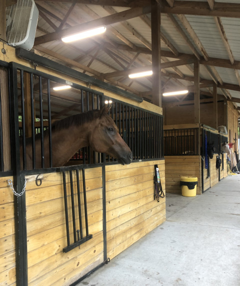 Visit Rainy Day Farm