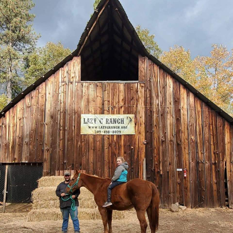 Visit Horse Riding Lessons
