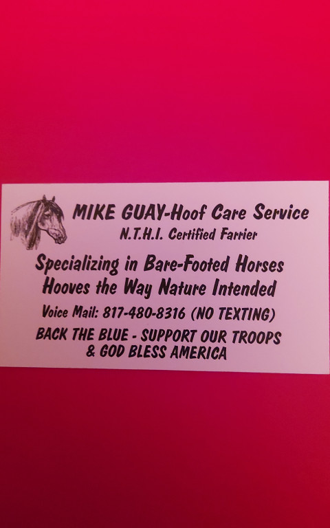 Visit Mike Guay