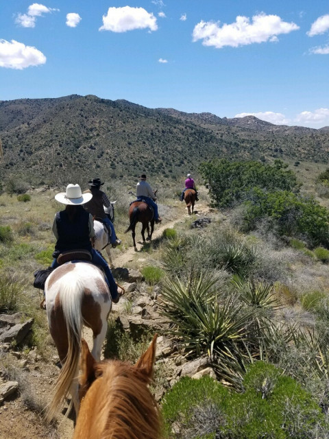 Visit Tombstone Livery Stable and RV Park