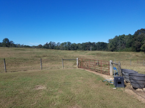 Visit Butler Pasture Boarding