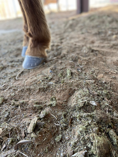 Visit Rays Farrier Service