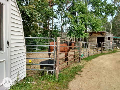 Visit Bobcat Farm Upton MA
