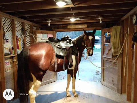 Visit Bobcat Farm Upton MA