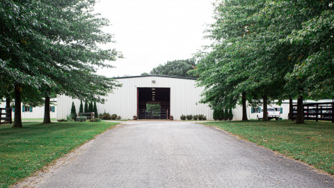 Visit White Pole Stables