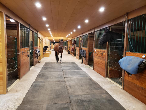 Visit Durham Equestrian