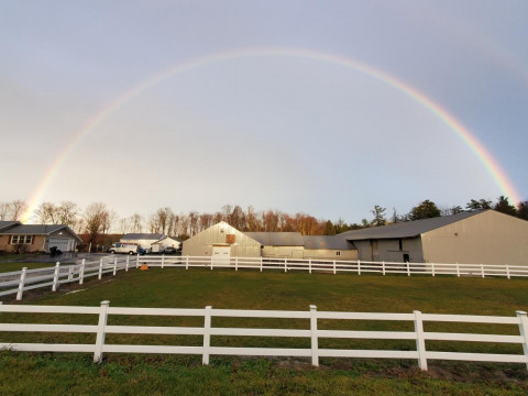 Visit Shadowbrook Farms Equine Facility