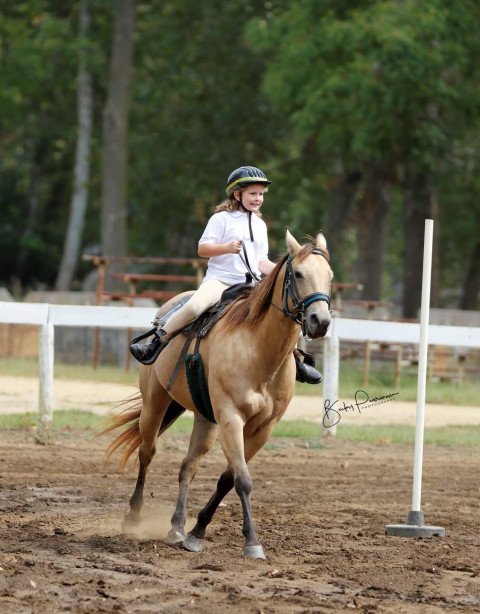 Visit Mare's Run Farm Riding School