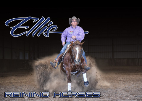 Visit Ellis Reining Horses