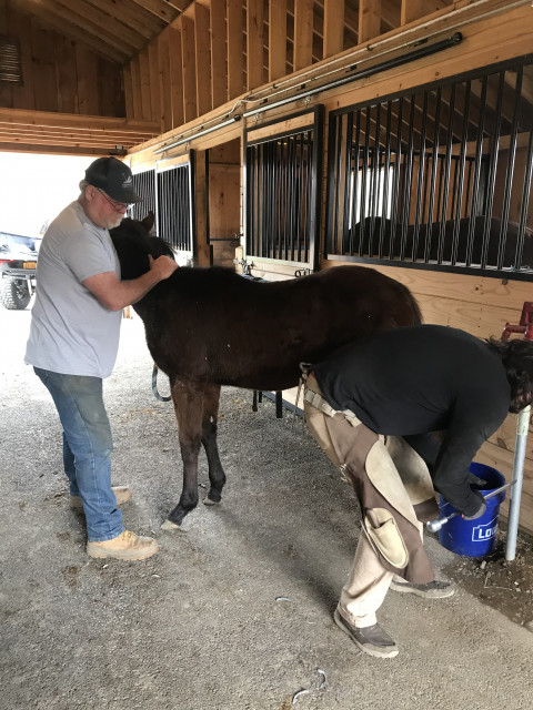 Visit Inwood Stables