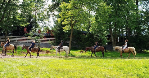 Visit Ironstone Ranch Horseback Trail Rides