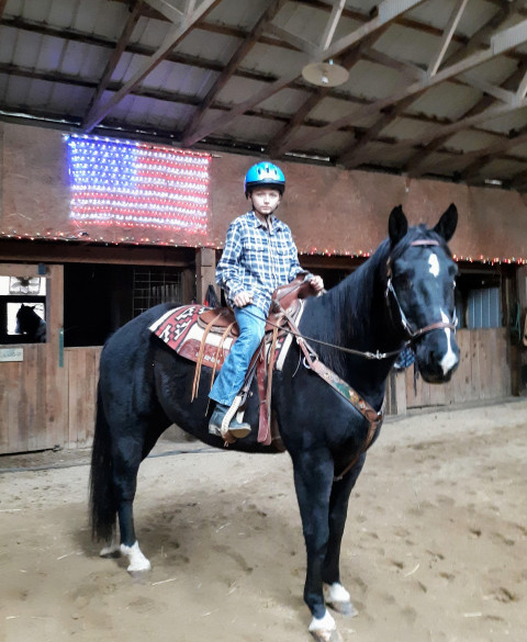 Visit Makos Snowy Hill Paso Fino Farm